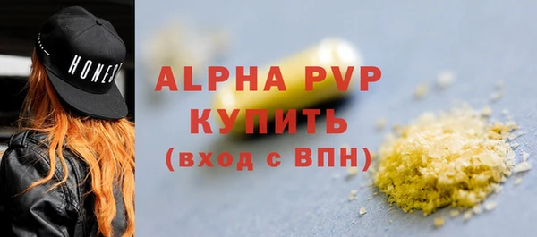 молекула духа Белоозёрский