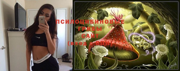 молекула духа Белоозёрский