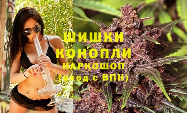 молекула духа Белоозёрский