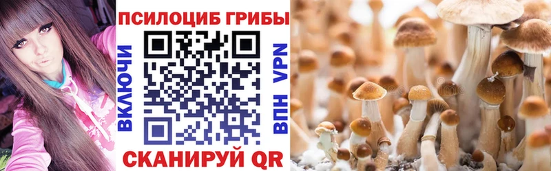 купить закладку Верхний Тагил Псилоцибиновые грибы Psilocybe